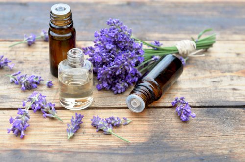 Benefits of Lavender oil and How to use it