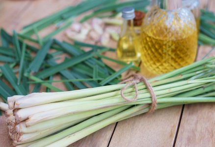 LEMONGRASS OIL (Pure and Natural)