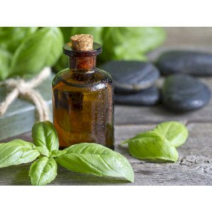 INDIAN BASIL OIL Pure and Natural NorexMart