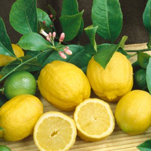LEMON INDUSTRIAL FRAGRANCE
