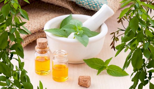 INDIAN BASIL OIL (Pure and Natural)