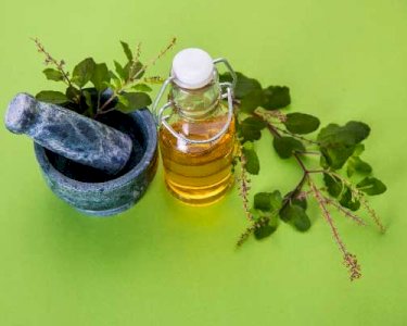 INDIAN BASIL OIL (Pure and Natural)