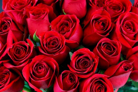 ROSE INDUSTRIAL FRAGRANCE