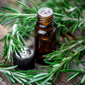 ROSEMARY OIL (Pure and Natural)